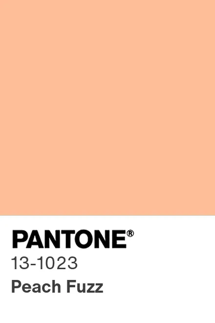 A colour card to show Pantone's peach fuzz colour of the year