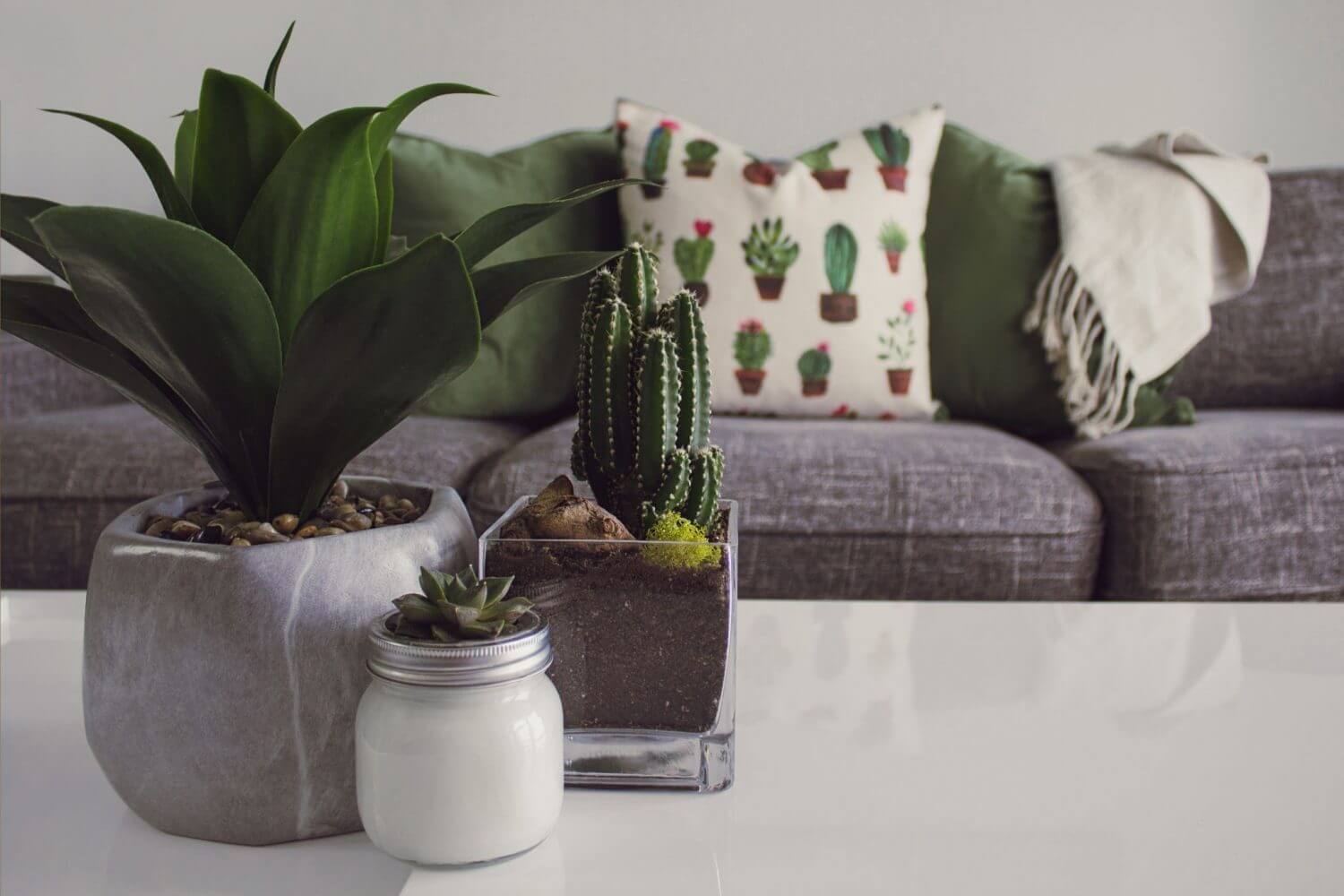 Interior trends for 2019: green plants on a coffee table against a grey sofa with green cushions