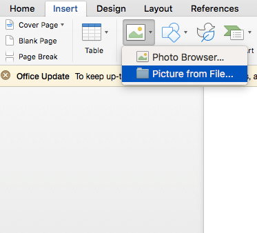 Screenshot showing how to insert a picture in Microsoft Word: Inster, Picture from File