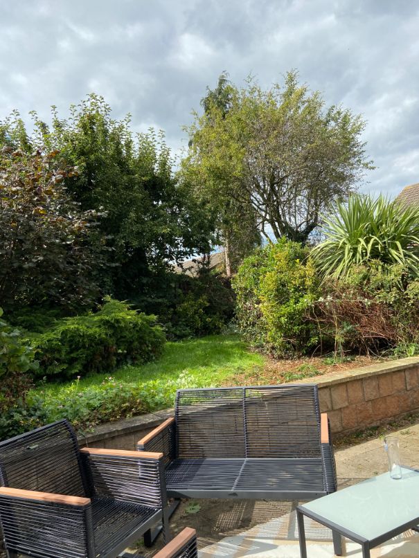 The retaining wall in our garden, with a lot of very large trees growing in the background