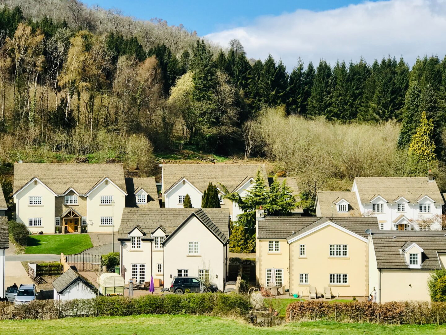 A row of homes in the countryside surrounded by green space