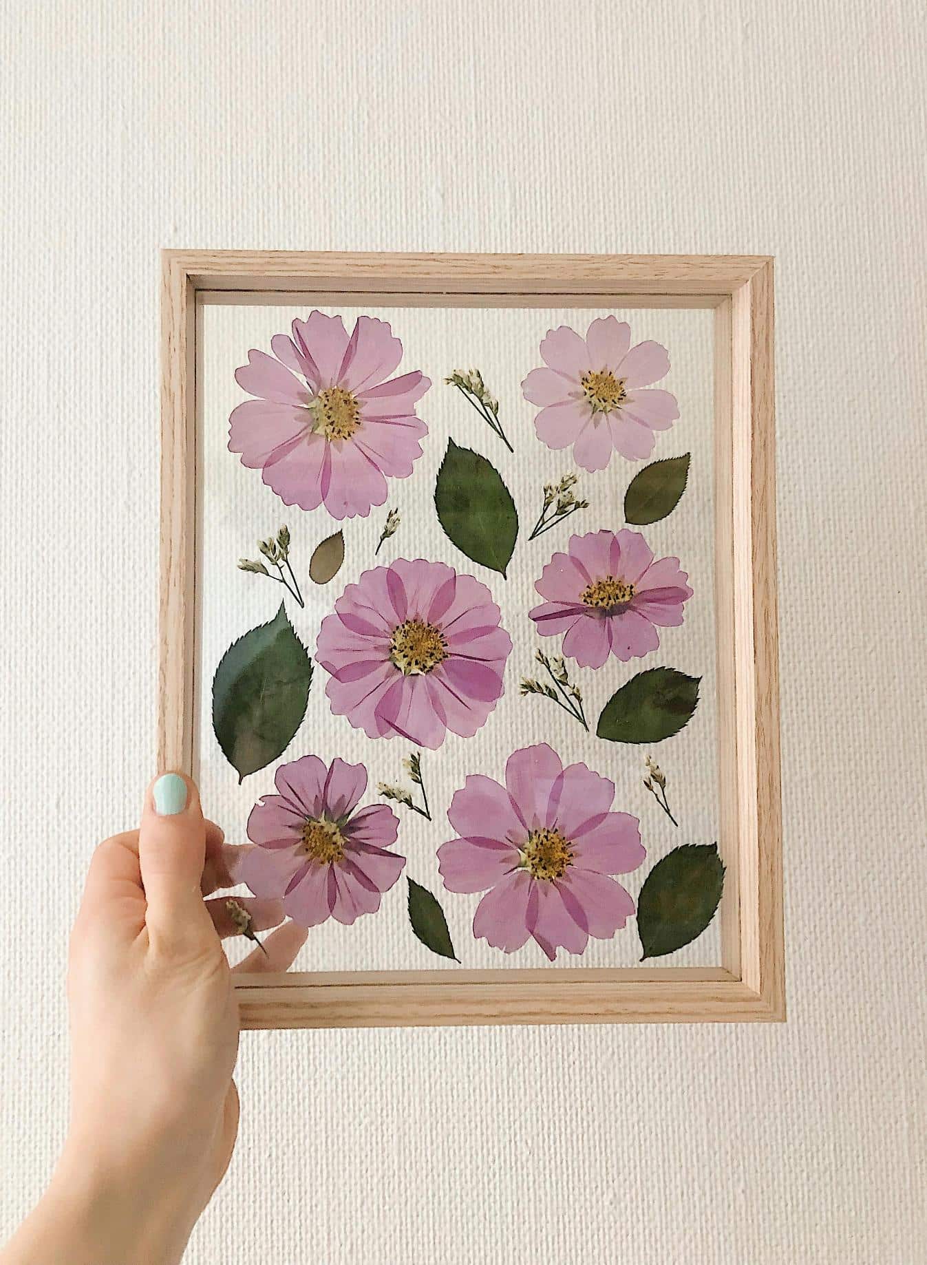 Pressed flowers in a glass frame against a white wall
