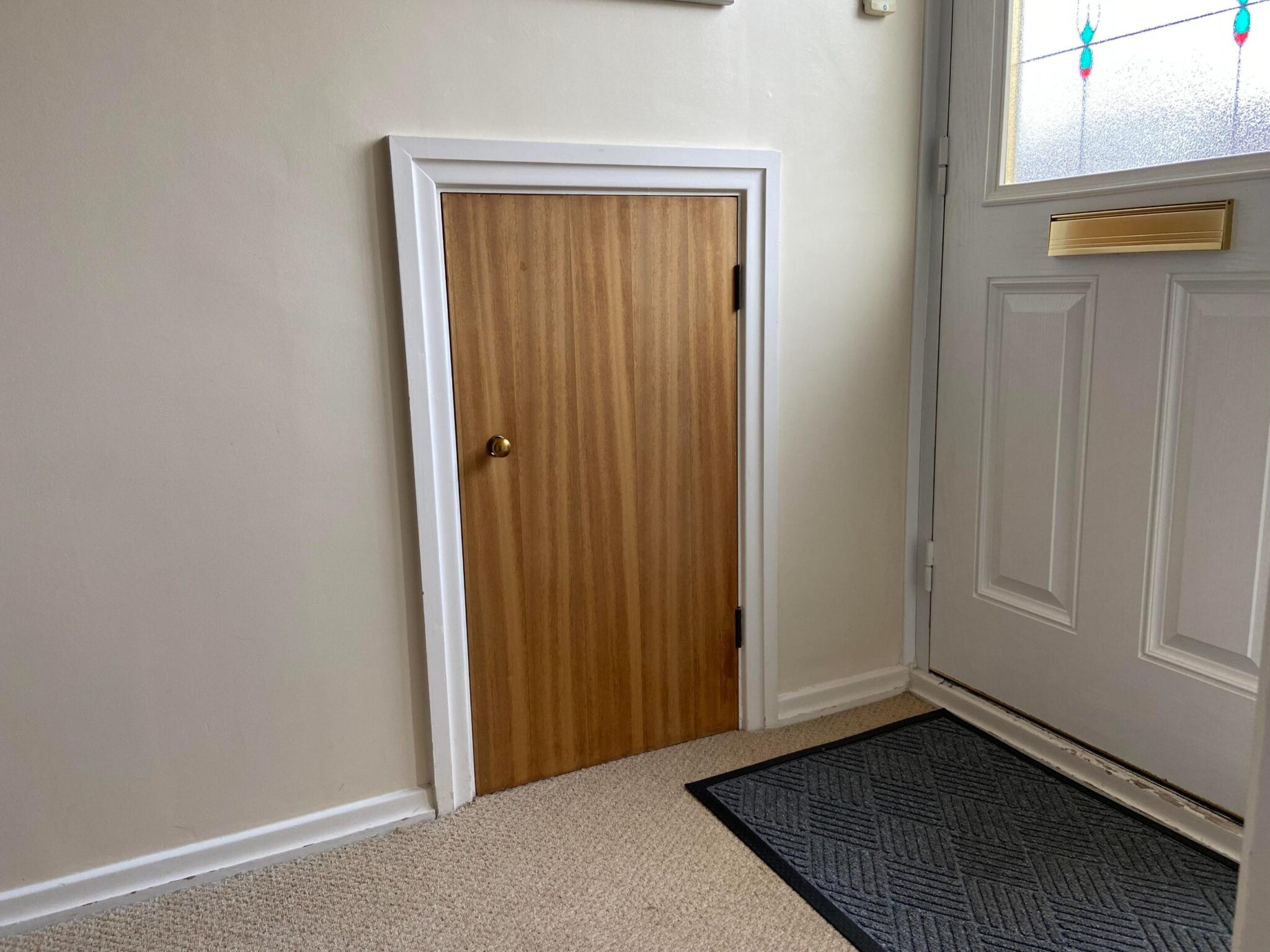 The access door for our home electrics/meters in our hallway