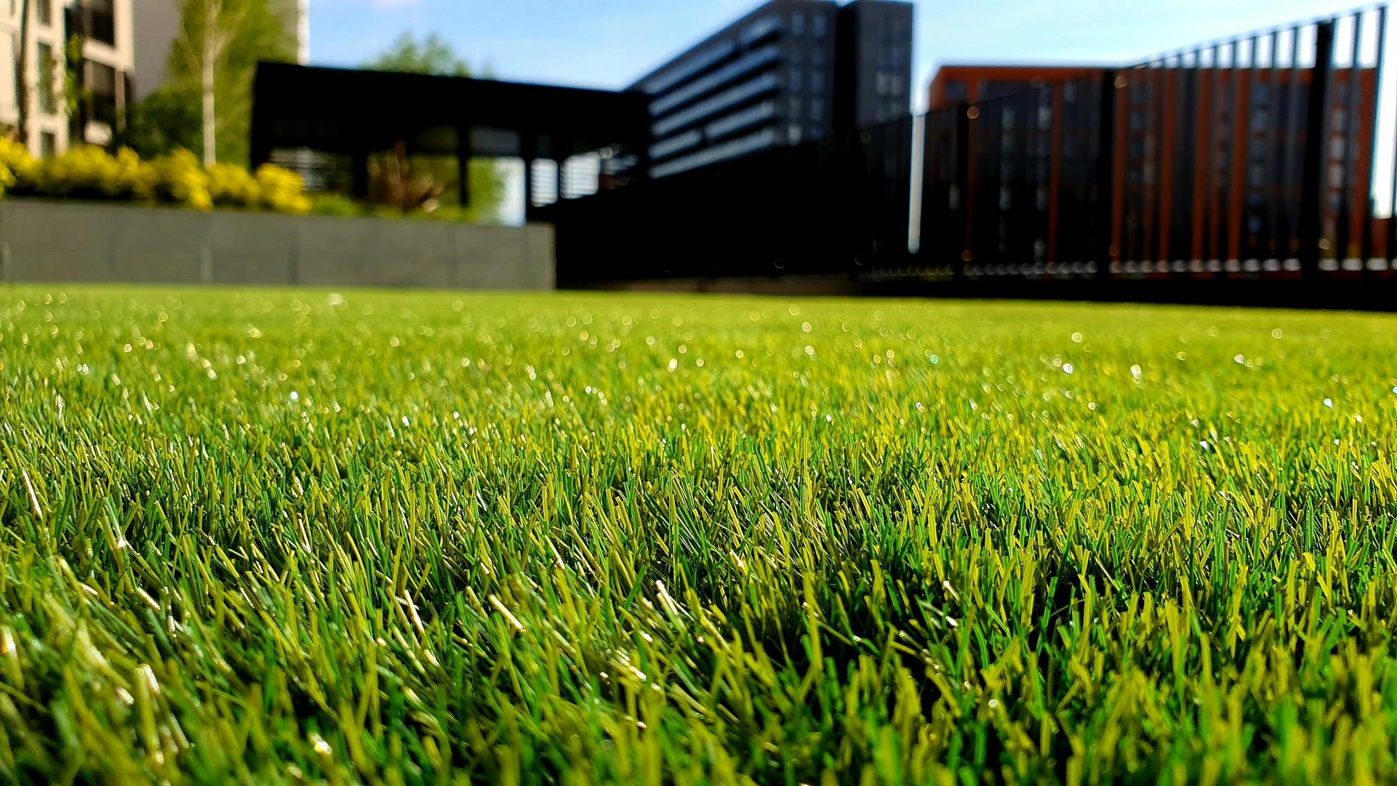 A close-up picture of neatly mown grass in a garden
