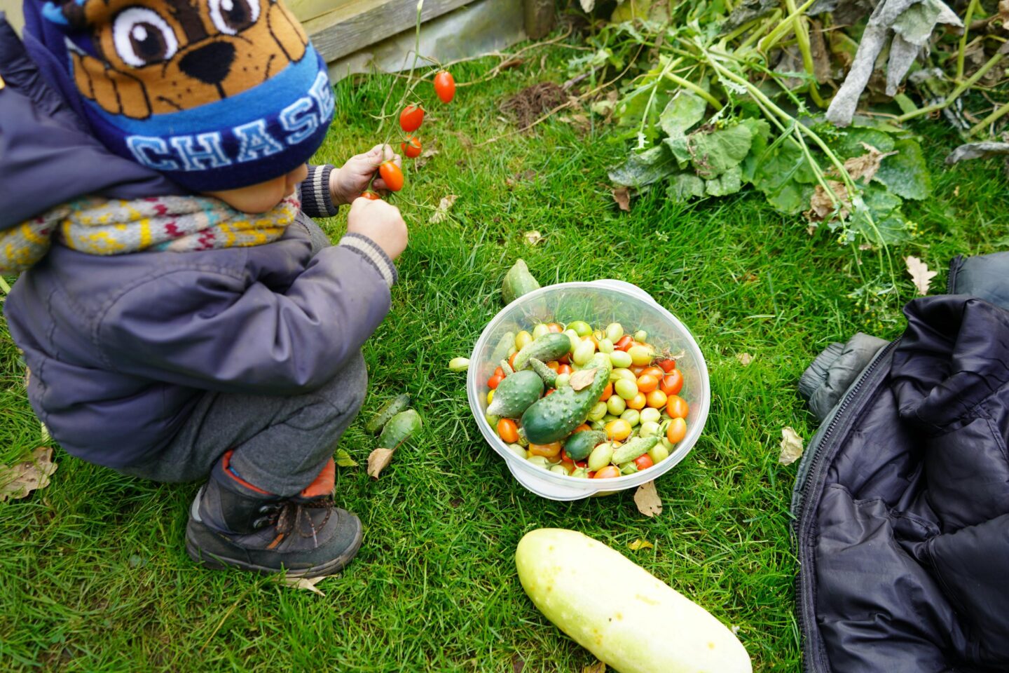 How to make your garden safer for your children