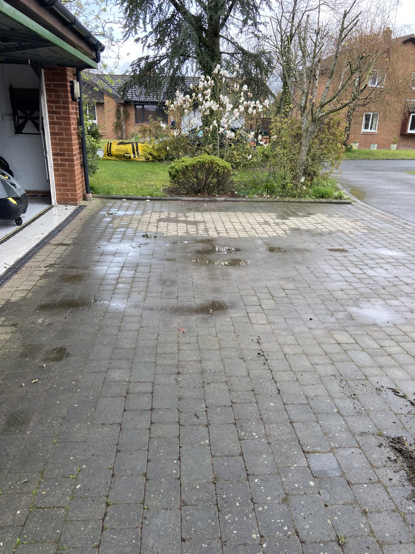 The driveway before it was cleaned