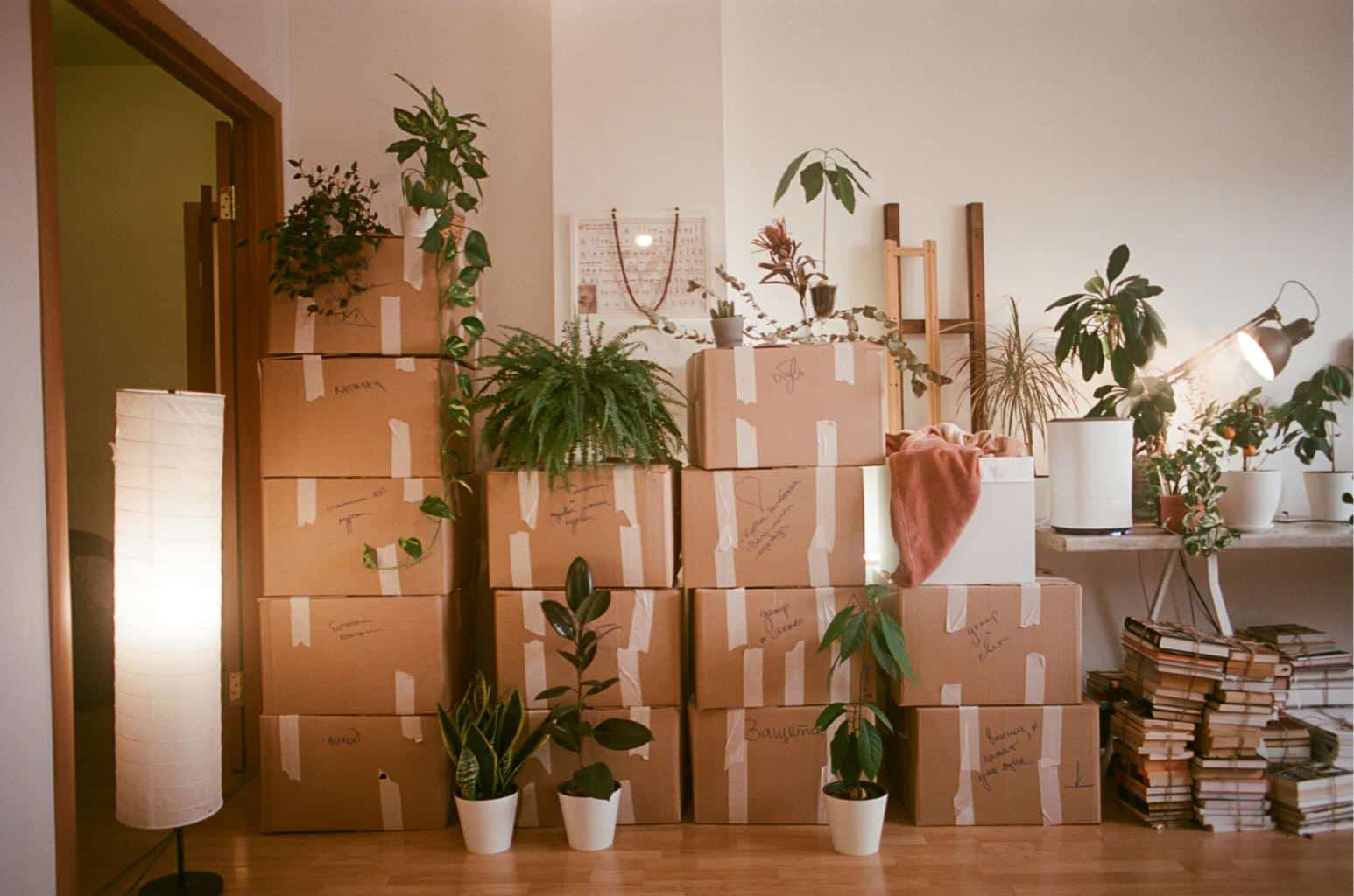 Aload of boxes piled up in the corner of a living room with plants on top of them