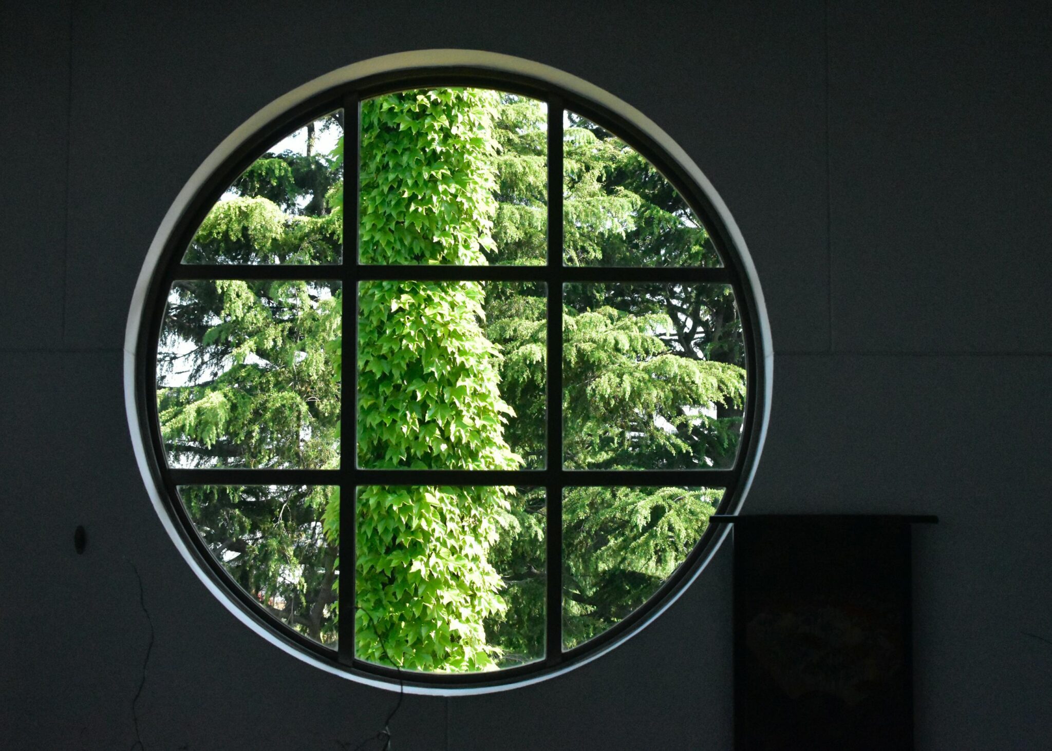 A large round window in black looking out onto trees